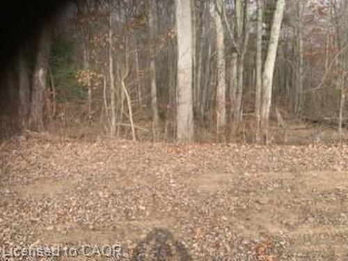 764 Forestry Road, Simcoe, ON 