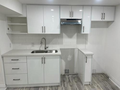17 Fisher Crescent, Hamilton, ON - Indoor Photo Showing Kitchen With Double Sink