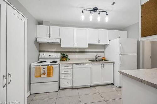 204-6 Niagara Street, Grimsby, ON - Indoor Photo Showing Kitchen With Double Sink