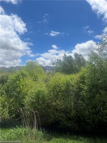 255 Ladyslipper Drive, Waterloo, ON - Outdoor With View