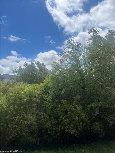 255 Ladyslipper Drive, Waterloo, ON - Outdoor With View