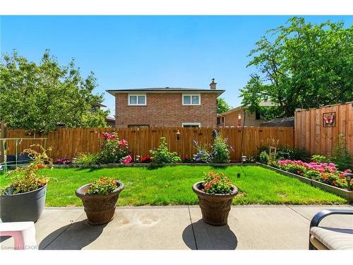 226 Carson Drive, Hamilton, ON - Outdoor With Backyard