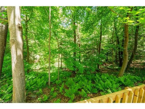 793 Shadeland Avenue, Burlington, ON - Outdoor