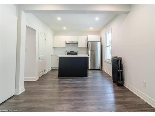 115 Spadina Avenue, Hamilton, ON - Indoor Photo Showing Kitchen
