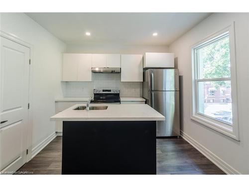 115 Spadina Avenue, Hamilton, ON - Indoor Photo Showing Kitchen With Double Sink