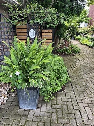 91 Mountain Park Avenue, Hamilton, ON - Outdoor With Deck Patio Veranda