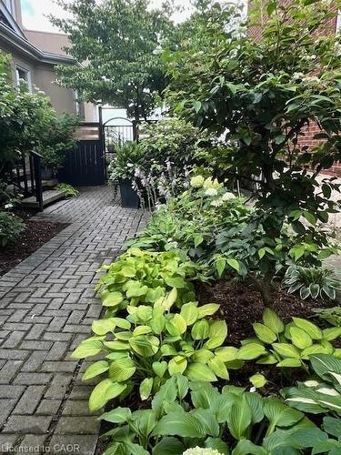 91 Mountain Park Avenue, Hamilton, ON - Outdoor