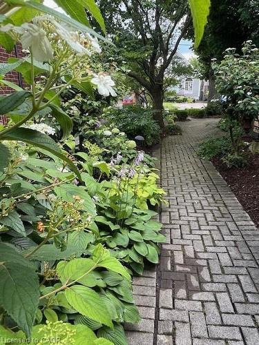 91 Mountain Park Avenue, Hamilton, ON - Outdoor