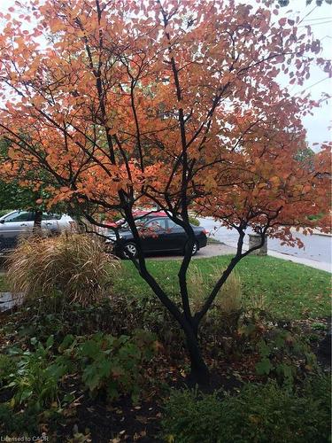 91 Mountain Park Avenue, Hamilton, ON - Outdoor With View