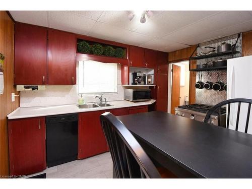 17 Craigroyston Road, Hamilton, ON - Indoor Photo Showing Kitchen With Double Sink