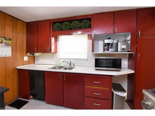 17 Craigroyston Road, Hamilton, ON - Indoor Photo Showing Kitchen With Double Sink
