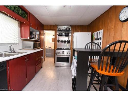 17 Craigroyston Road, Hamilton, ON - Indoor Photo Showing Kitchen With Double Sink