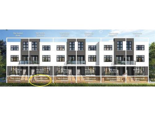 30-31 Mill Street, Kitchener, ON - Other