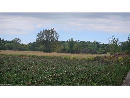 Pt S1/2 Lt 7 Junction Road, Cayuga, ON 