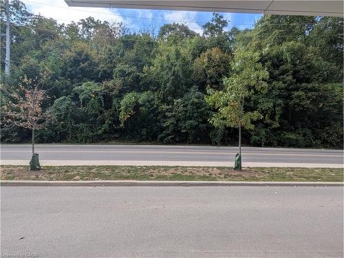 103-467 Charlton Avenue E, Hamilton, ON - Outdoor With View