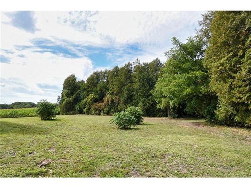 8125 Dickenson Road E, Mount Hope, ON - Outdoor With View