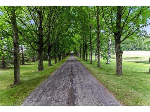 561 7Th Concession Road E, Flamborough, ON 