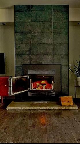 126 Shorties Side Road, Norfolk County, ON - Indoor With Fireplace