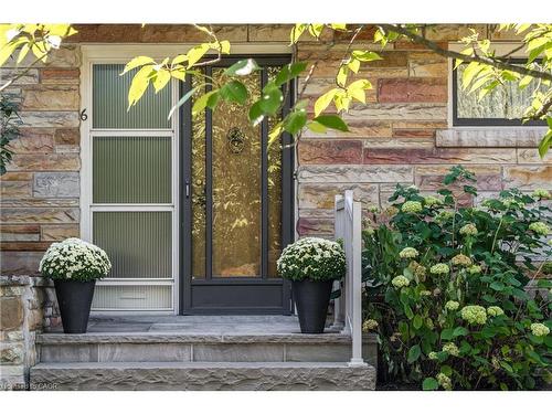 6 Freeland Court, Hamilton, ON - Outdoor