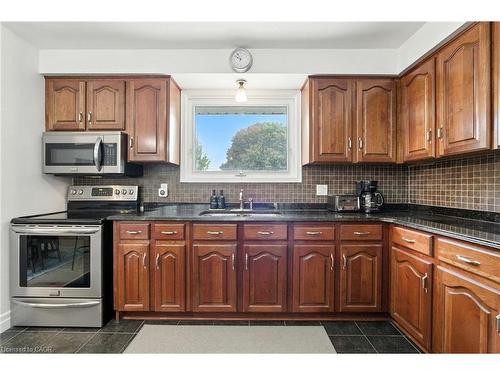 20 Woodside Drive, Hamilton, ON - Indoor Photo Showing Kitchen With Double Sink