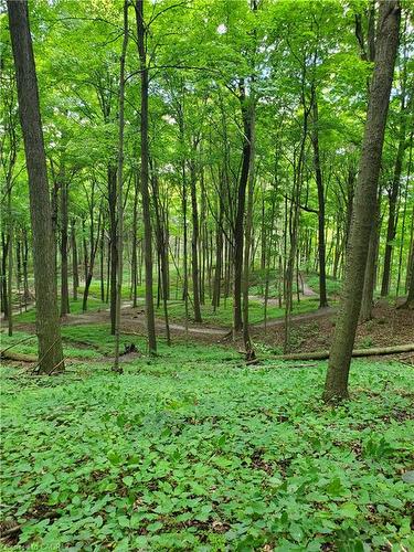 573 Sundew Drive, Waterloo, ON - Outdoor