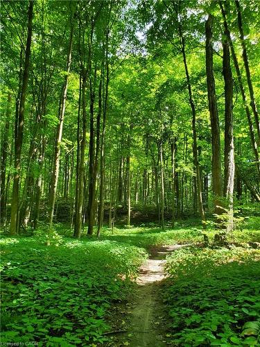 573 Sundew Drive, Waterloo, ON - Outdoor