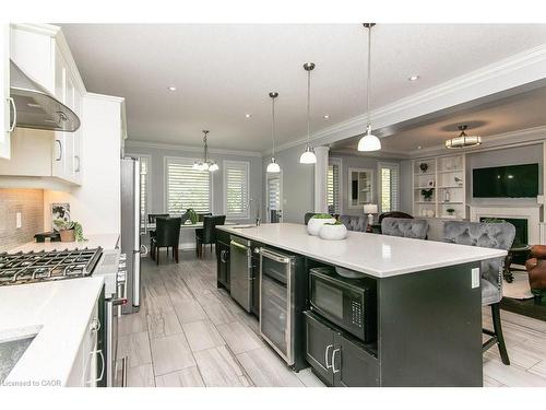 19 Tremaine Drive, Kitchener, ON - Indoor Photo Showing Kitchen With Upgraded Kitchen