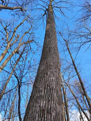 29 Unity Side Road, Caledonia, ON 