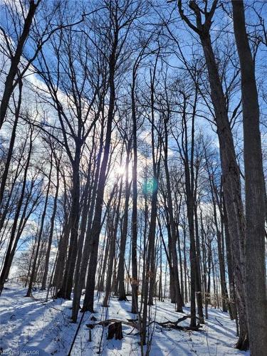 29 Unity Side Road, Caledonia, ON 