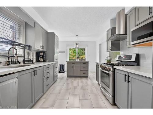 19 Marl Meadow Drive, Kitchener, ON - Indoor Photo Showing Kitchen With Upgraded Kitchen