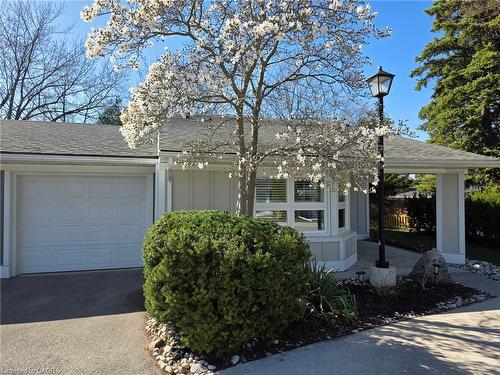 16 Sister Varga Terrace, Hamilton, ON - Outdoor