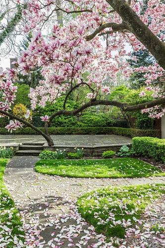 45 Markland Street, Hamilton, ON - Outdoor