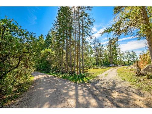 1230 Forsters Road, Minden Hills, ON - Outdoor With View