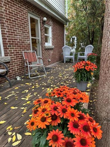 147 Cline Avenue S, Hamilton, ON - Outdoor With Deck Patio Veranda