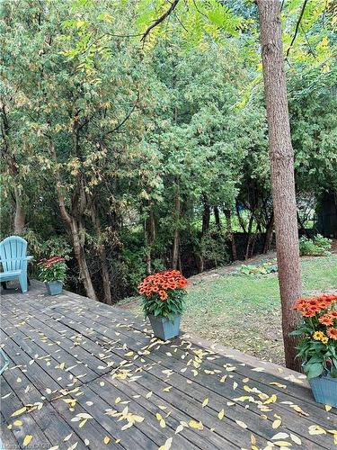 147 Cline Avenue S, Hamilton, ON - Outdoor With Deck Patio Veranda