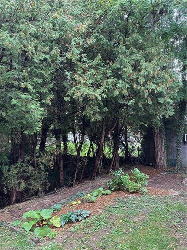 147 Cline Avenue S, Hamilton, ON - Outdoor