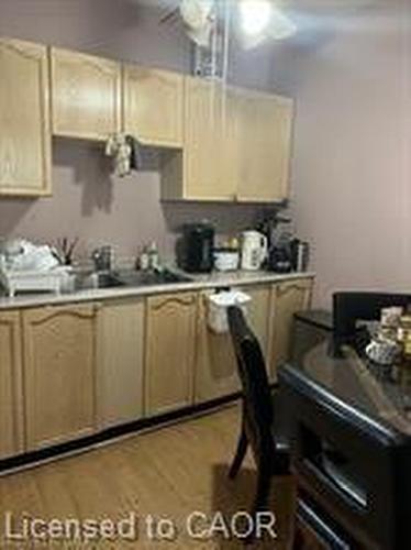 30 Eby Street N, Kitchener, ON - Indoor Photo Showing Kitchen With Double Sink