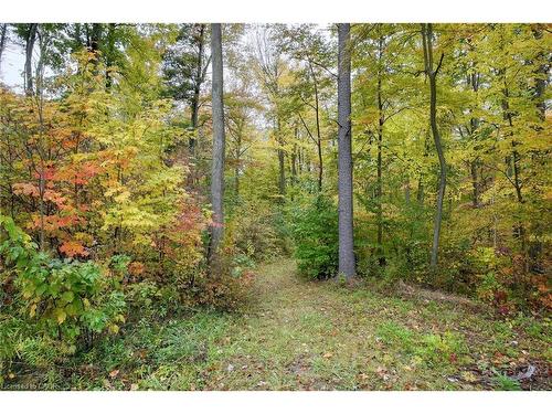 1392 Wrigley Road, Ayr, ON - Outdoor