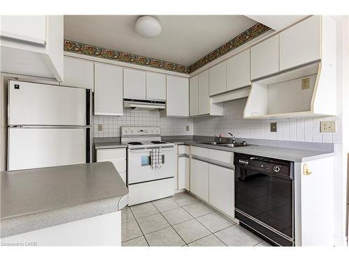 304 (3D)-67 Caroline Street S, Hamilton, ON - Indoor Photo Showing Kitchen With Double Sink