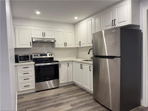 Basement-222 Doon Mills Drive, Kitchener, ON - Indoor Photo Showing Kitchen With Stainless Steel Kitchen