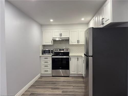Basement-222 Doon Mills Drive, Kitchener, ON - Indoor Photo Showing Kitchen With Stainless Steel Kitchen