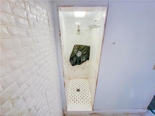 109 Terrace Drive, Hamilton, ON - Indoor Photo Showing Bathroom