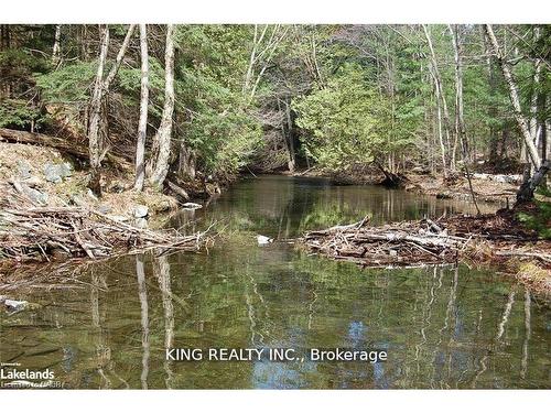 (Lot 13)-12 Zhaawashkwaa Miikan (Deep Blue Road) Road, Seguin, ON 