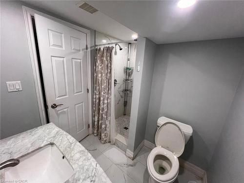 100 Lauris Avenue, Cambridge, ON - Indoor Photo Showing Bathroom