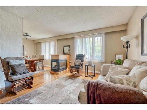 271 Haller Crescent, Caledonia, ON - Indoor Photo Showing Living Room With Fireplace
