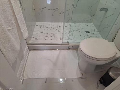 Basement-15 Spring Creek Street, Kitchener, ON - Indoor Photo Showing Bathroom