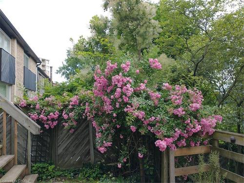 7-1967 Main Street W, Hamilton, ON - Outdoor