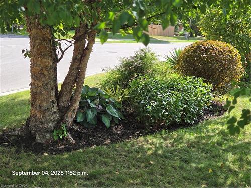 27 Hepburn Avenue, St. Thomas, ON - Outdoor