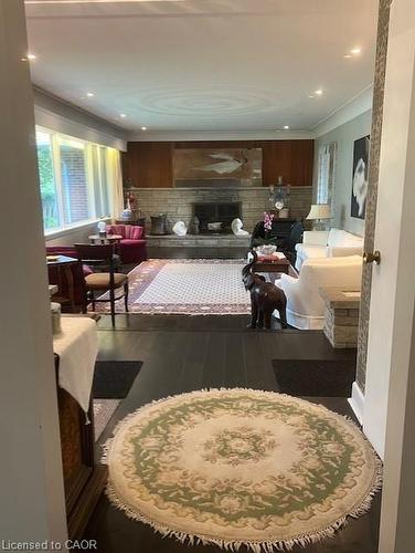 132 Hillcrest Avenue, Flamborough, ON - Indoor With Fireplace