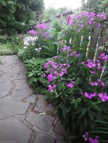 132 Hillcrest Avenue, Flamborough, ON - Outdoor